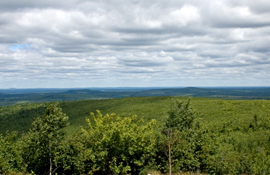 View from the Fire Tower Zone, facing northward across the Saddle Zone (middle of photograph) and North Zone (downslope of the Saddle Zone).