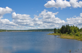 The Adex mine site (in distance on left), viewed from the southwest corner of the tailings pond.